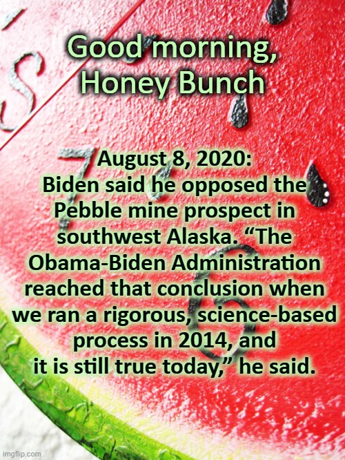 Joe Biden said... | Good morning, Honey Bunch; August 8, 2020: Biden said he opposed the Pebble mine prospect in southwest Alaska. “The Obama-Biden Administration reached that conclusion when we ran a rigorous, science-based process in 2014, and it is still true today,” he said. | image tagged in that would be great | made w/ Imgflip meme maker