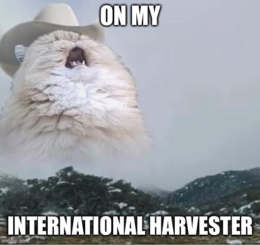 International Harvester | ON MY; INTERNATIONAL HARVESTER | image tagged in country roads cat | made w/ Imgflip meme maker
