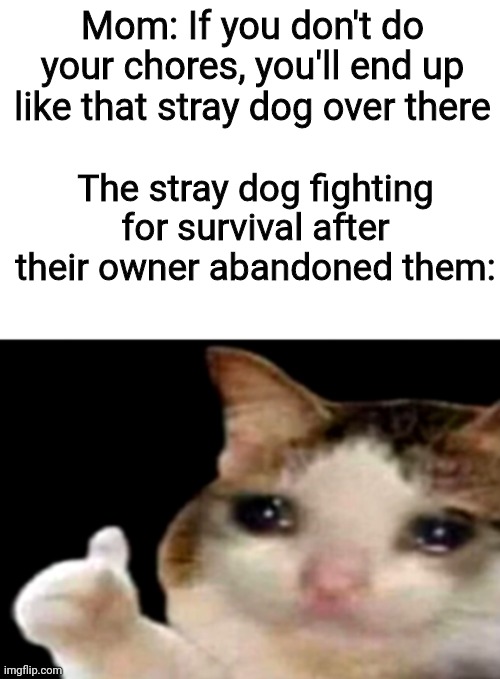 Sad cat thumbs up white spacing | Mom: If you don't do your chores, you'll end up like that stray dog over there; The stray dog fighting for survival after their owner abandoned them: | image tagged in sad cat thumbs up white spacing | made w/ Imgflip meme maker
