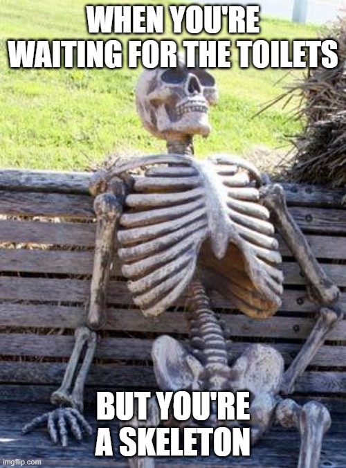 Toilet skeleton | WHEN YOU'RE WAITING FOR THE TOILETS; BUT YOU'RE A SKELETON | image tagged in memes,waiting skeleton | made w/ Imgflip meme maker