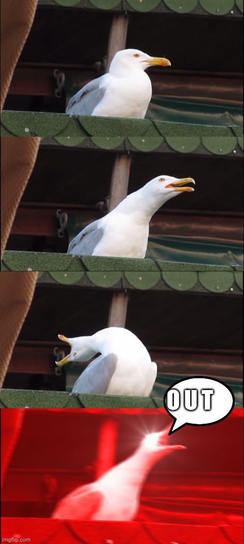 Inhaling Seagull Meme | O U T | image tagged in memes,inhaling seagull | made w/ Imgflip meme maker