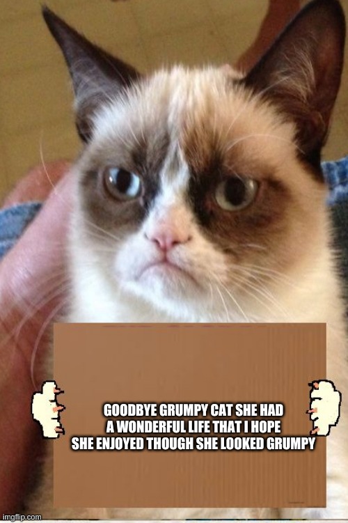 Rest in peace grumpy cat | GOODBYE GRUMPY CAT SHE HAD A WONDERFUL LIFE THAT I HOPE SHE ENJOYED THOUGH SHE LOOKED GRUMPY | image tagged in grumpy cat,rip,tarter sauce | made w/ Imgflip meme maker