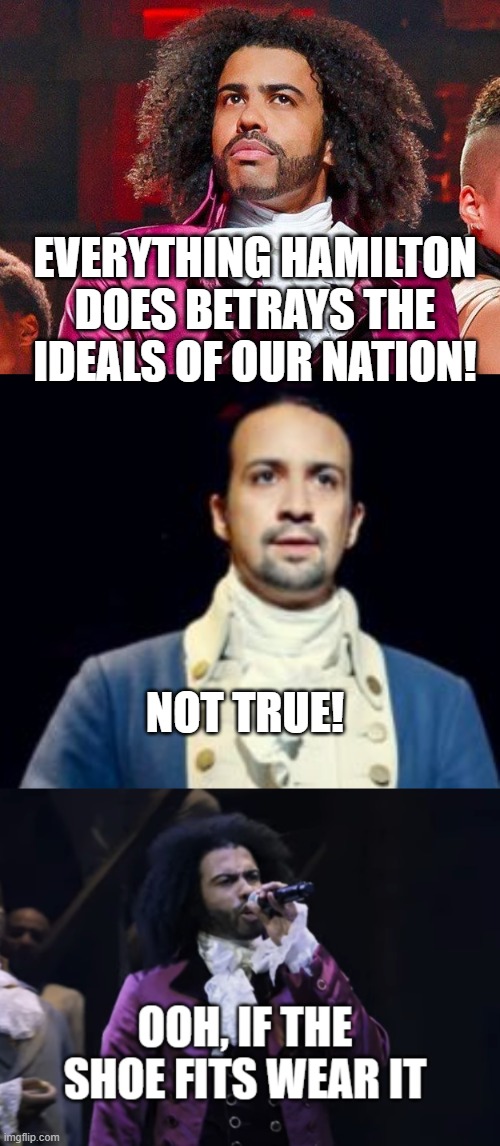 what jefferson would say to hamilton | EVERYTHING HAMILTON DOES BETRAYS THE IDEALS OF OUR NATION! NOT TRUE! | image tagged in hamilton/washington,daveed diggs,jefferson ooh if the shoe fits wear it,memes,funny,hamilton | made w/ Imgflip meme maker