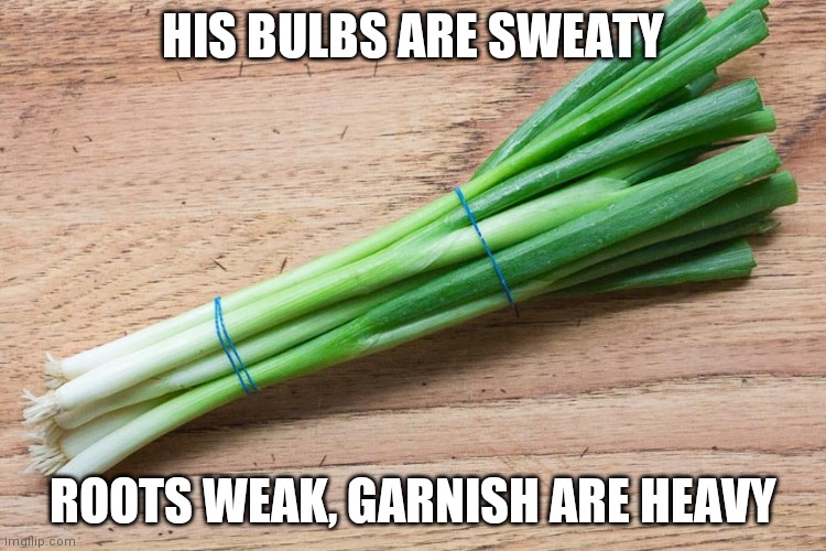 Rap Scallions |  HIS BULBS ARE SWEATY; ROOTS WEAK, GARNISH ARE HEAVY | image tagged in vegetables,rap | made w/ Imgflip meme maker