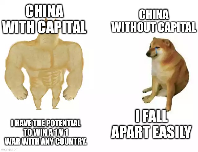 Rise of Nations China in a nutshell. |  CHINA WITH CAPITAL; CHINA WITHOUT CAPITAL; I FALL APART EASILY; I HAVE THE POTENTIAL TO WIN A 1 V 1 WAR WITH ANY COUNTRY. | image tagged in buff doge vs cheems | made w/ Imgflip meme maker