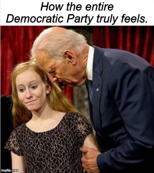 At the VERY latest, this guy will last until January 30 before "the accident." | How the entire Democratic Party truly feels. | image tagged in biden,election 2020 | made w/ Imgflip meme maker