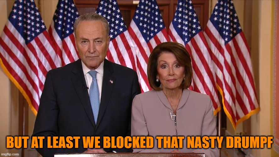 Chuck and Nancy | BUT AT LEAST WE BLOCKED THAT NASTY DRUMPF | image tagged in chuck and nancy | made w/ Imgflip meme maker