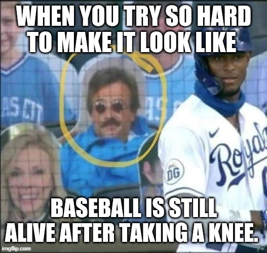 Baseball is dead. | image tagged in funny,politics,kneeling,baseball | made w/ Imgflip meme maker
