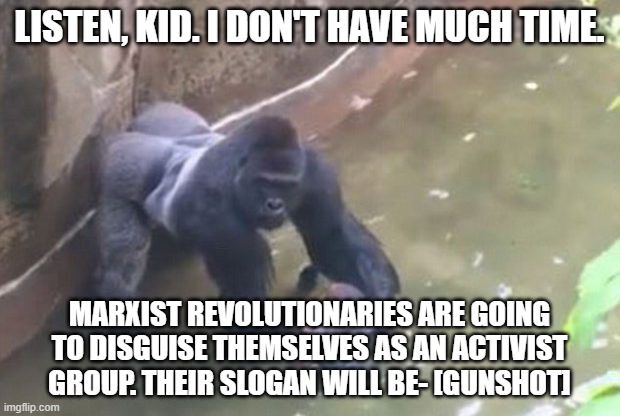 Last Moments of HARAMBE | LISTEN, KID. I DON'T HAVE MUCH TIME. MARXIST REVOLUTIONARIES ARE GOING TO DISGUISE THEMSELVES AS AN ACTIVIST GROUP. THEIR SLOGAN WILL BE- [GUNSHOT] | image tagged in last moments of harambe | made w/ Imgflip meme maker