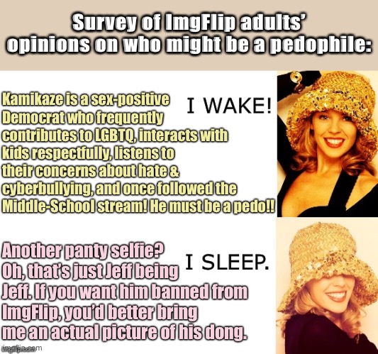 They’ve accused me of this too. Safe space for any memers who have ever felt creeped out by anything I’ve ever done on ImgFlip. | Survey of ImgFlip adults’ opinions on who might be a pedophile:; Kamikaze is a sex-positive Democrat who frequently contributes to LGBTQ, interacts with kids respectfully, listens to their concerns about hate & cyberbullying, and once followed the Middle-School stream! He must be a pedo!! Another panty selfie? Oh, that’s just Jeff being Jeff. If you want him banned from ImgFlip, you’d better bring me an actual picture of his dong. | image tagged in kylie i wake/i sleep,pedophile,pedophilia,damn,adults,safe space | made w/ Imgflip meme maker