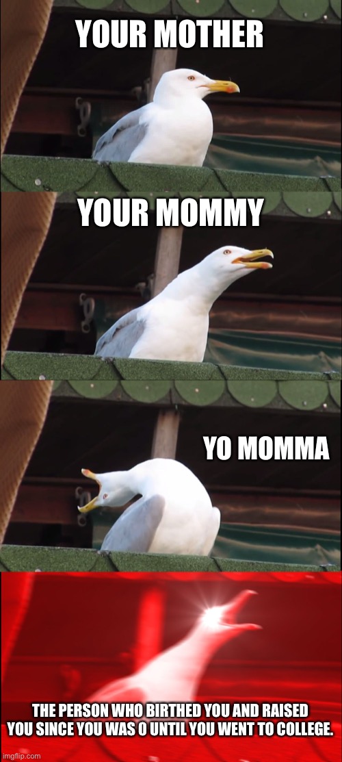 Inhaling Seagull Meme | YOUR MOTHER; YOUR MOMMY; YO MOMMA; THE PERSON WHO BIRTHED YOU AND RAISED YOU SINCE YOU WAS 0 UNTIL YOU WENT TO COLLEGE. | image tagged in memes,inhaling seagull | made w/ Imgflip meme maker
