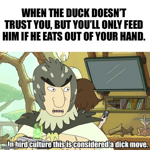 Bird Culture | WHEN THE DUCK DOESN’T TRUST YOU, BUT YOU’LL ONLY FEED HIM IF HE EATS OUT OF YOUR HAND. | image tagged in bird person,rick and morty,bird culture | made w/ Imgflip meme maker