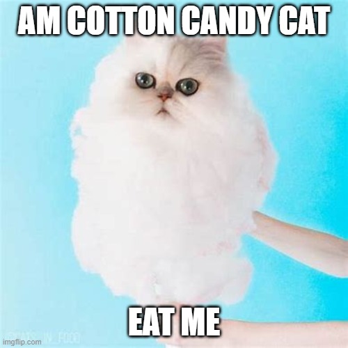 Am Cotton Candy Cat | AM COTTON CANDY CAT; EAT ME | image tagged in cotton candy,cats | made w/ Imgflip meme maker