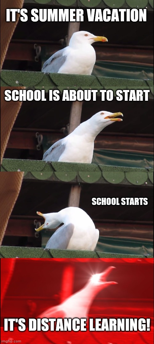 Sliding Scale of School-Related Anger | IT'S SUMMER VACATION; SCHOOL IS ABOUT TO START; SCHOOL STARTS; IT'S DISTANCE LEARNING! | image tagged in memes,inhaling seagull | made w/ Imgflip meme maker