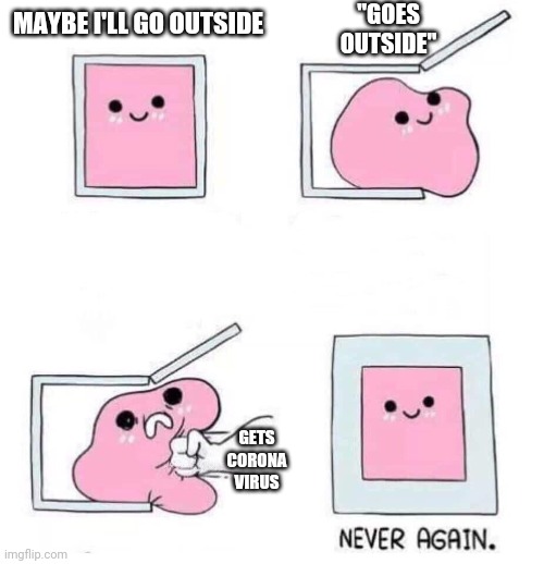Never again | "GOES OUTSIDE"; MAYBE I'LL GO OUTSIDE; GETS CORONA VIRUS | image tagged in never again | made w/ Imgflip meme maker
