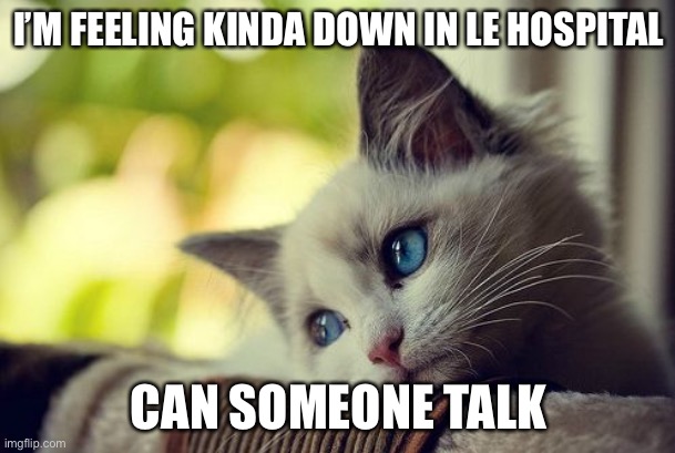 First World Problems Cat Meme | I’M FEELING KINDA DOWN IN LE HOSPITAL; CAN SOMEONE TALK | image tagged in memes,first world problems cat | made w/ Imgflip meme maker