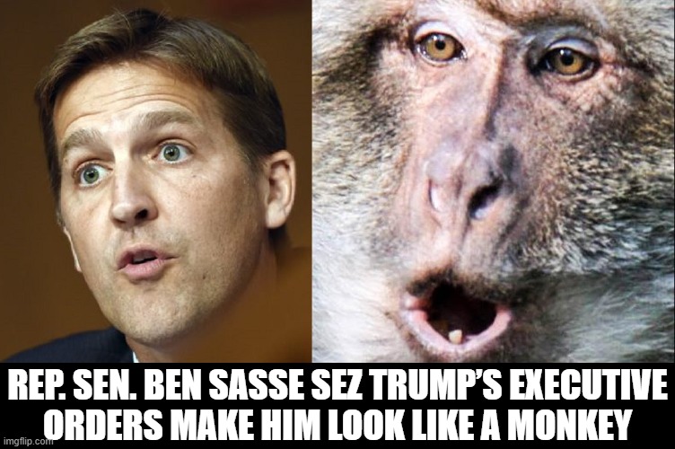 I think that RINO was already there... What Say You? | REP. SEN. BEN SASSE SEZ TRUMP’S EXECUTIVE
ORDERS MAKE HIM LOOK LIKE A MONKEY | image tagged in vince vance,republican,senator,monkey,meme,executive orders | made w/ Imgflip meme maker