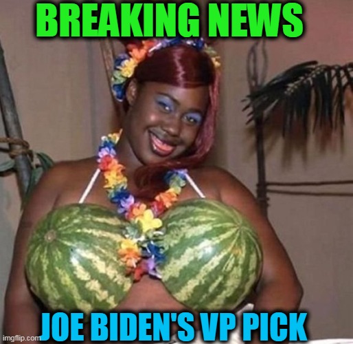 Why Not? She Checks Both Boxes! | BREAKING NEWS; JOE BIDEN'S VP PICK | image tagged in political meme,politics,joe biden | made w/ Imgflip meme maker