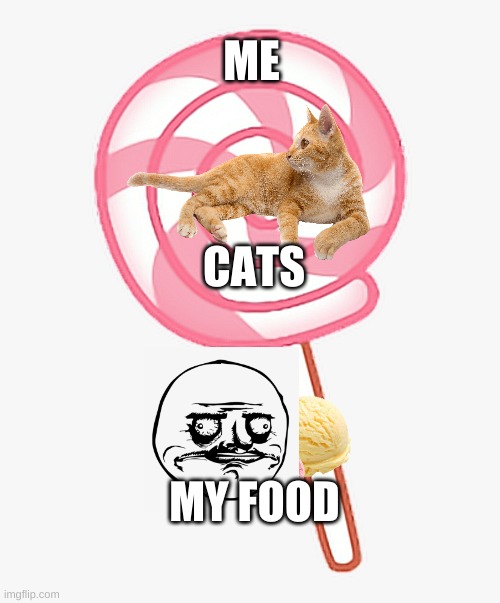 CATSSS | ME; CATS; MY FOOD | image tagged in food | made w/ Imgflip meme maker