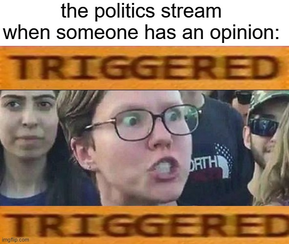 e | the politics stream when someone has an opinion: | image tagged in triggered liberal | made w/ Imgflip meme maker