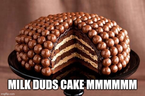 Milk duds cake | MILK DUDS CAKE MMMMMM | image tagged in cake,milk duds | made w/ Imgflip meme maker