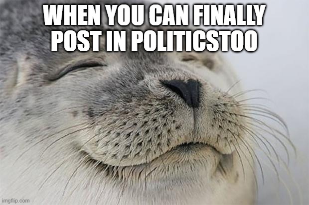 Satisfied Seal | WHEN YOU CAN FINALLY POST IN POLITICSTOO | image tagged in memes,satisfied seal | made w/ Imgflip meme maker