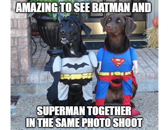 Superheroes | AMAZING TO SEE BATMAN AND; SUPERMAN TOGETHER
IN THE SAME PHOTO SHOOT | image tagged in memes,fun,funny,dogs,super heroes,2020 | made w/ Imgflip meme maker