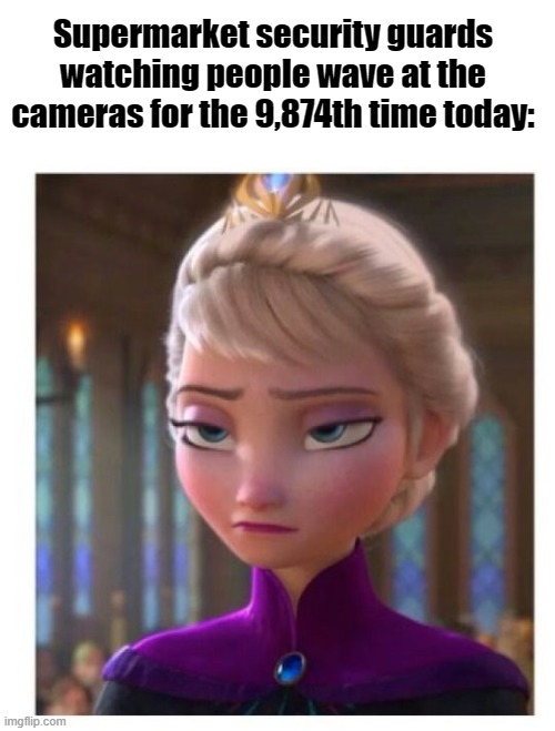 Frozen Bored | Supermarket security guards watching people wave at the cameras for the 9,874th time today: | image tagged in frozen bored | made w/ Imgflip meme maker