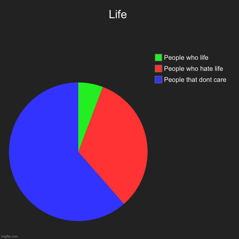 Life | Life | People that dont care, People who hate life, People who life | image tagged in charts,pie charts | made w/ Imgflip chart maker