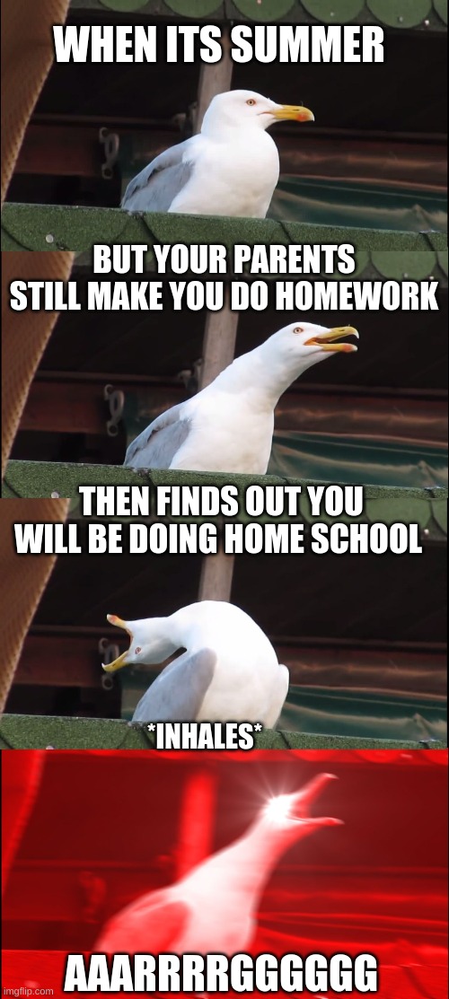 is it only me | WHEN ITS SUMMER; BUT YOUR PARENTS STILL MAKE YOU DO HOMEWORK; THEN FINDS OUT YOU WILL BE DOING HOME SCHOOL; *INHALES*; AAARRRRGGGGGG | image tagged in memes,inhaling seagull | made w/ Imgflip meme maker