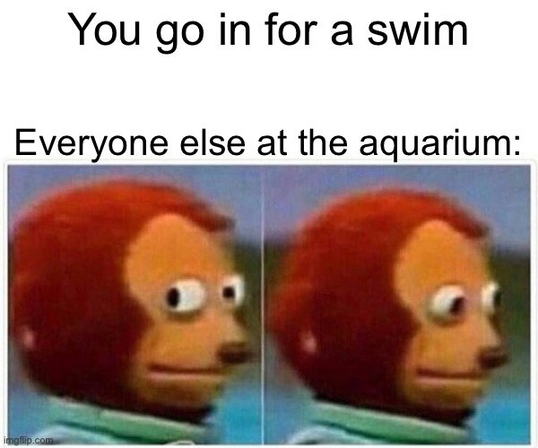 W  a  t  e  r | You go in for a swim; Everyone else at the aquarium: | image tagged in memes,monkey puppet,funny,funny memes,monkey,meme | made w/ Imgflip meme maker