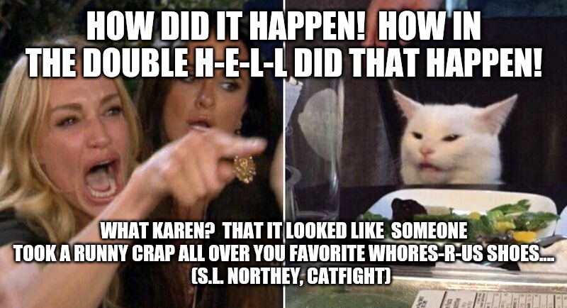 Woman Pointing at Cat | HOW DID IT HAPPEN!  HOW IN THE DOUBLE H-E-L-L DID THAT HAPPEN! WHAT KAREN?  THAT IT LOOKED LIKE  SOMEONE TOOK A RUNNY CRAP ALL OVER YOU FAVORITE WHORES-R-US SHOES....
    (S.L. NORTHEY, CATFIGHT) | image tagged in woman pointing at cat | made w/ Imgflip meme maker