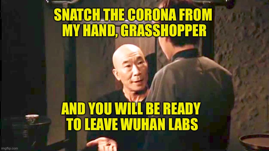 Kung Flu S1E1: “Genesis” | SNATCH THE CORONA FROM 
MY HAND, GRASSHOPPER; AND YOU WILL BE READY 
TO LEAVE WUHAN LABS | image tagged in kung flu,kung fu,corona,wuhan,labs,covid19 | made w/ Imgflip meme maker