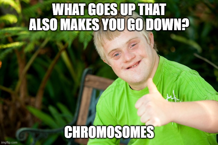 A Little Extra | WHAT GOES UP THAT ALSO MAKES YOU GO DOWN? CHROMOSOMES | image tagged in downie down syndrome | made w/ Imgflip meme maker