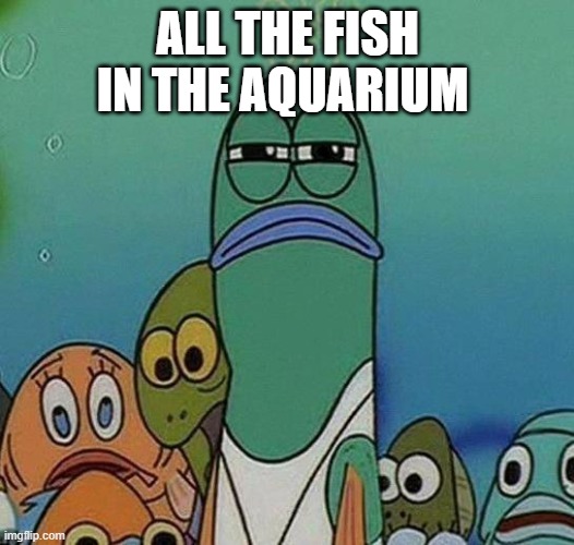 SpongeBob | ALL THE FISH IN THE AQUARIUM | image tagged in spongebob | made w/ Imgflip meme maker