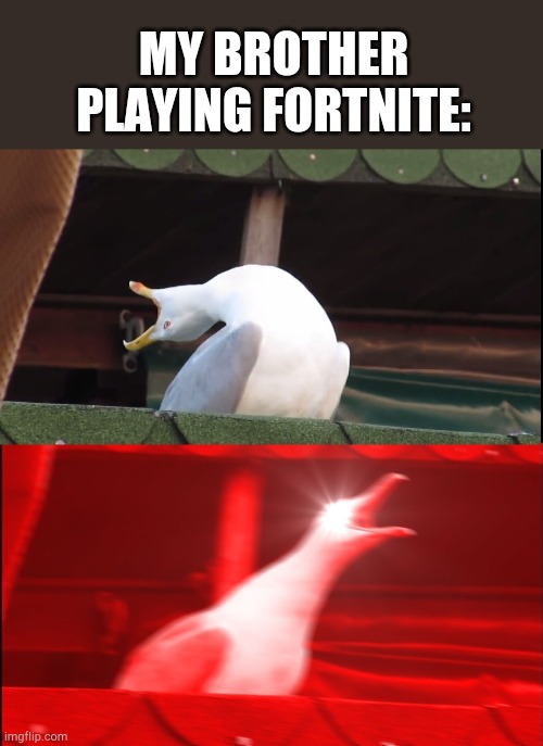 MY BROTHER PLAYING FORTNITE: | image tagged in screaming bird | made w/ Imgflip meme maker
