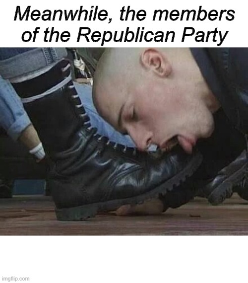 Bootlicker | Meanwhile, the members of the Republican Party | image tagged in bootlicker | made w/ Imgflip meme maker