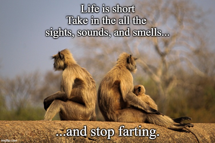 Wasn't me | Life is short
Take in the all the 
sights, sounds, and smells... ...and stop farting. | image tagged in fart joke | made w/ Imgflip meme maker
