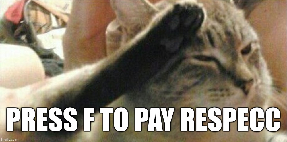 press f cat | PRESS F TO PAY RESPECC | image tagged in press f cat | made w/ Imgflip meme maker