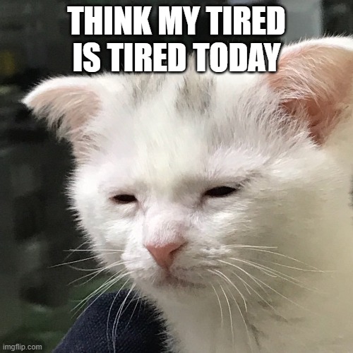 I'm awake, but at what cost? | THINK MY TIRED IS TIRED TODAY | image tagged in i'm awake but at what cost | made w/ Imgflip meme maker