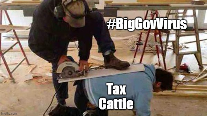 How Government "Fixes" Things | #BigGovVirus; Tax
Cattle | image tagged in libertarian,big government,liberty,freedom | made w/ Imgflip meme maker
