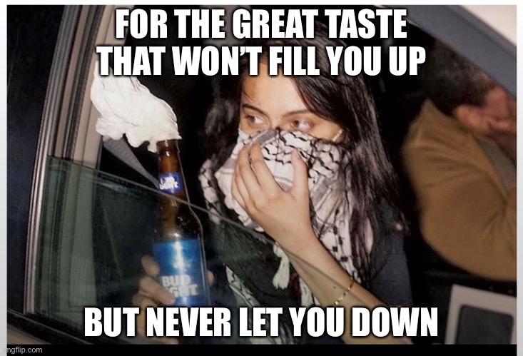 Bud lite protestor | FOR THE GREAT TASTE THAT WON’T FILL YOU UP; BUT NEVER LET YOU DOWN | image tagged in protest | made w/ Imgflip meme maker