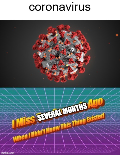 i really miss it | coronavirus; SEVERAL MONTHS | image tagged in i miss ten seconds ago,2020,coronavirus,covid-19 | made w/ Imgflip meme maker