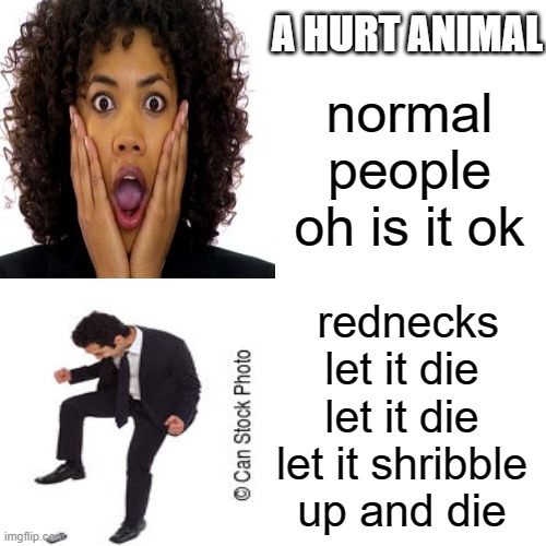 roadkill | A HURT ANIMAL; normal people oh is it ok; rednecks let it die let it die let it shribble up and die | image tagged in roadkill | made w/ Imgflip meme maker