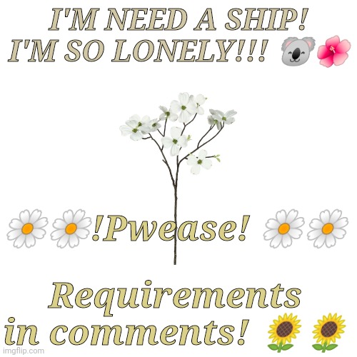 PLEASE! | I'M NEED A SHIP! I'M SO LONELY!!! 🐨🌺; 🌼🌼!Pwease! 🌼🌼; Requirements in comments! 🌻🌻 | made w/ Imgflip meme maker