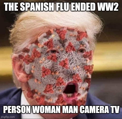 Trump's virus | THE SPANISH FLU ENDED WW2; PERSON WOMAN MAN CAMERA TV | image tagged in trump's virus | made w/ Imgflip meme maker