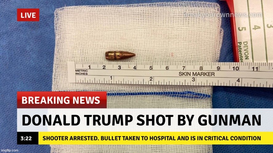 Trump's assassination attempt XX | image tagged in donald trump memes,the donald,donald trump thug life,the most interesting man in the world donald trump,task failed successfully | made w/ Imgflip meme maker