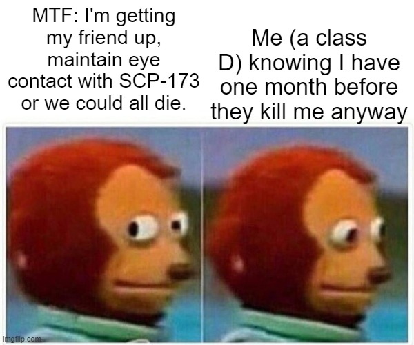 Monkey Puppet Meme | Me (a class D) knowing I have one month before they kill me anyway; MTF: I'm getting my friend up, maintain eye contact with SCP-173 or we could all die. | image tagged in memes,monkey puppet | made w/ Imgflip meme maker