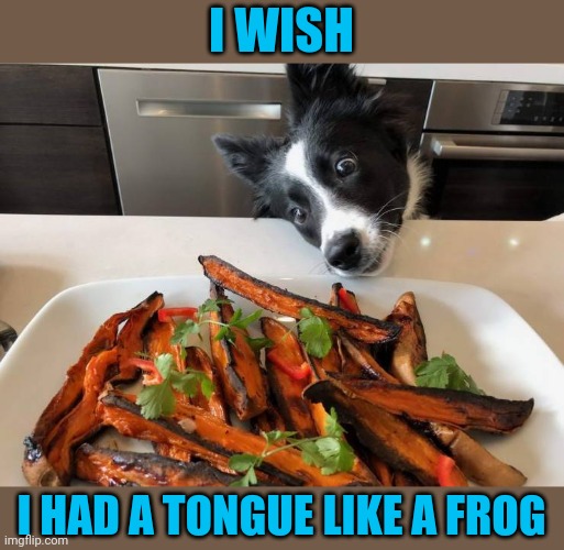 I wants it | I WISH; I HAD A TONGUE LIKE A FROG | image tagged in doag | made w/ Imgflip meme maker