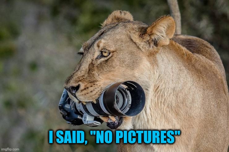 Better listen | I SAID, "NO PICTURES" | image tagged in no means no | made w/ Imgflip meme maker